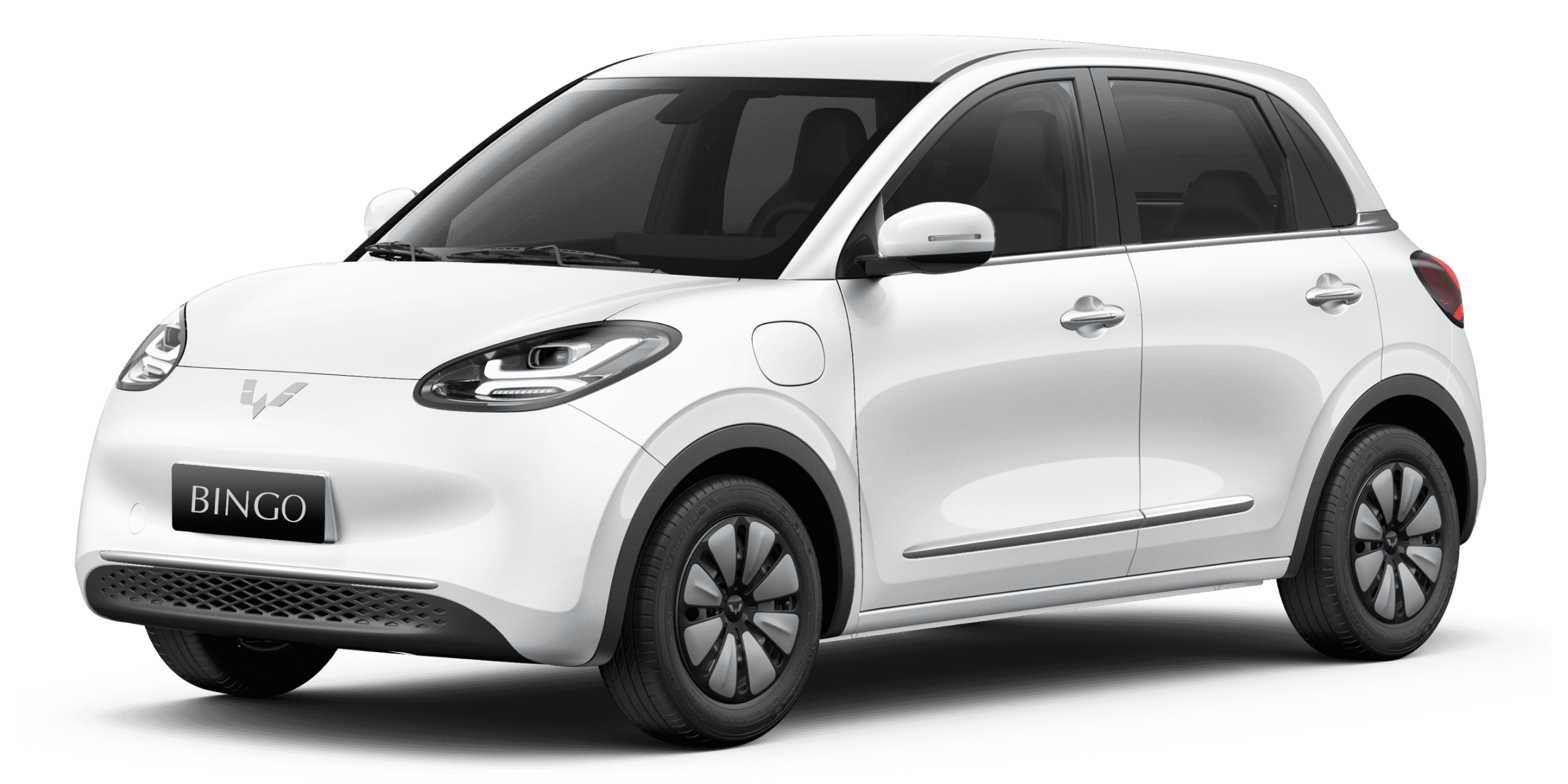 Wuling Bingo